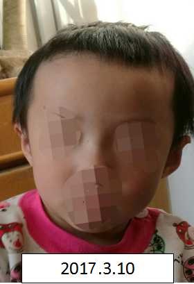 艹比舔比